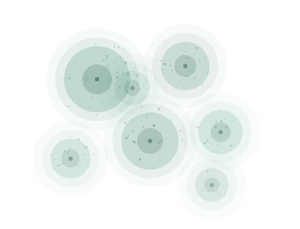 Remodeler Local Market Domination